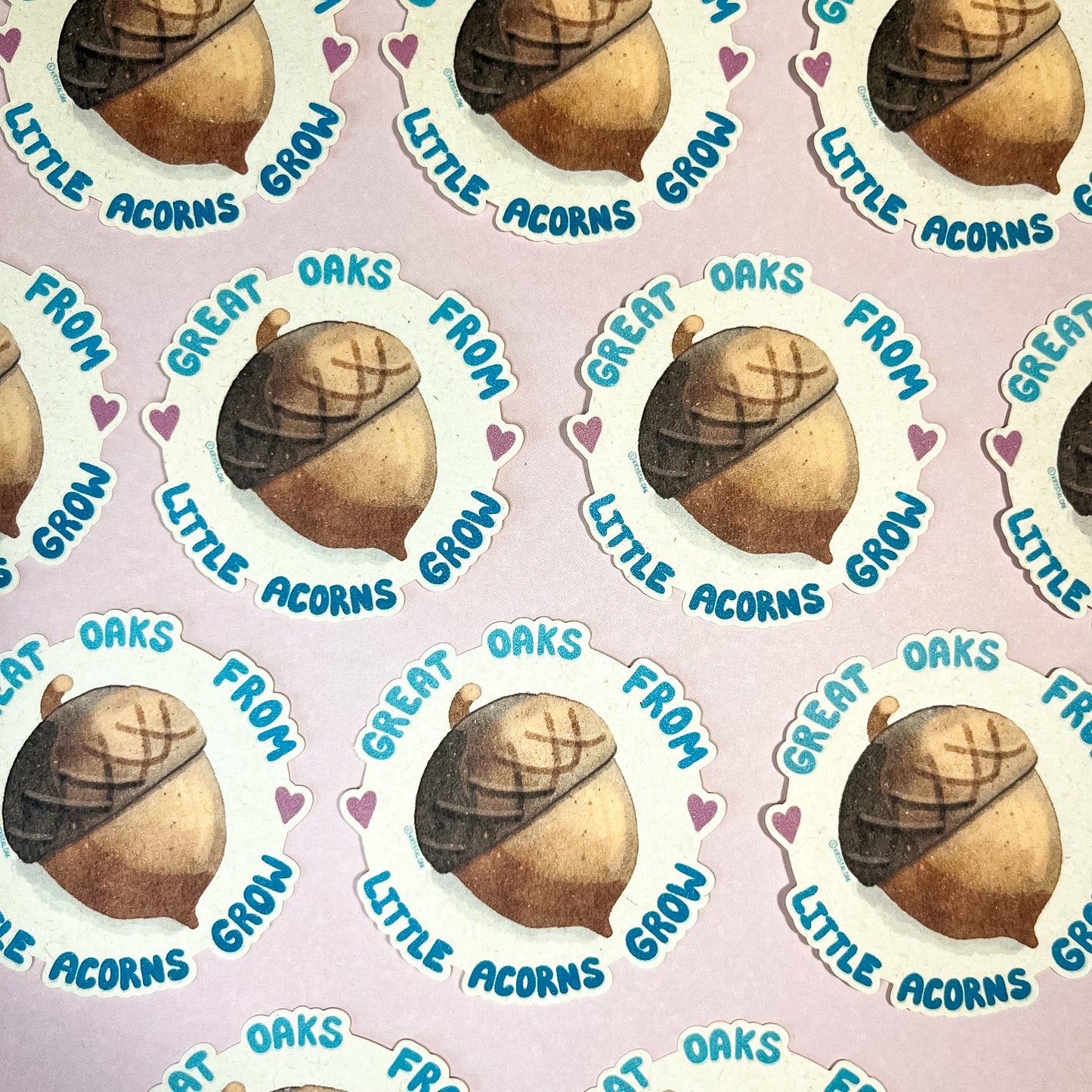 Sticker - Great Oaks From Little Acorns Grow
